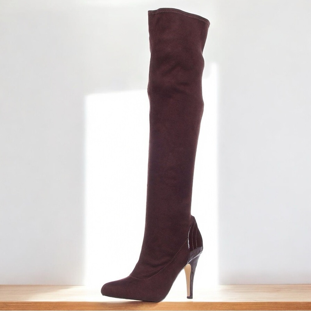 Charles David Raphael Over-The-Knee Brown Suede Boots. Brand New Never Worn.